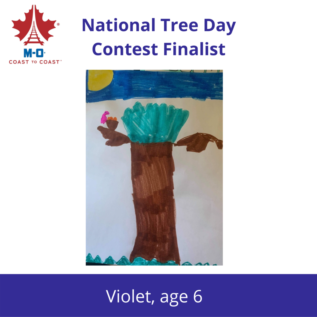 National-Tree-Days-Contest-Finalist-1