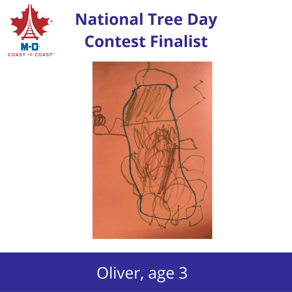 National-Tree-Days-Contest-Finalist-2