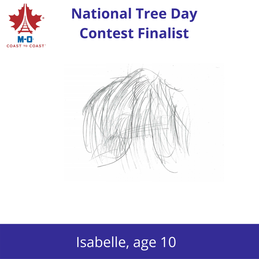 National-Tree-Days-Contest-Finalist-3