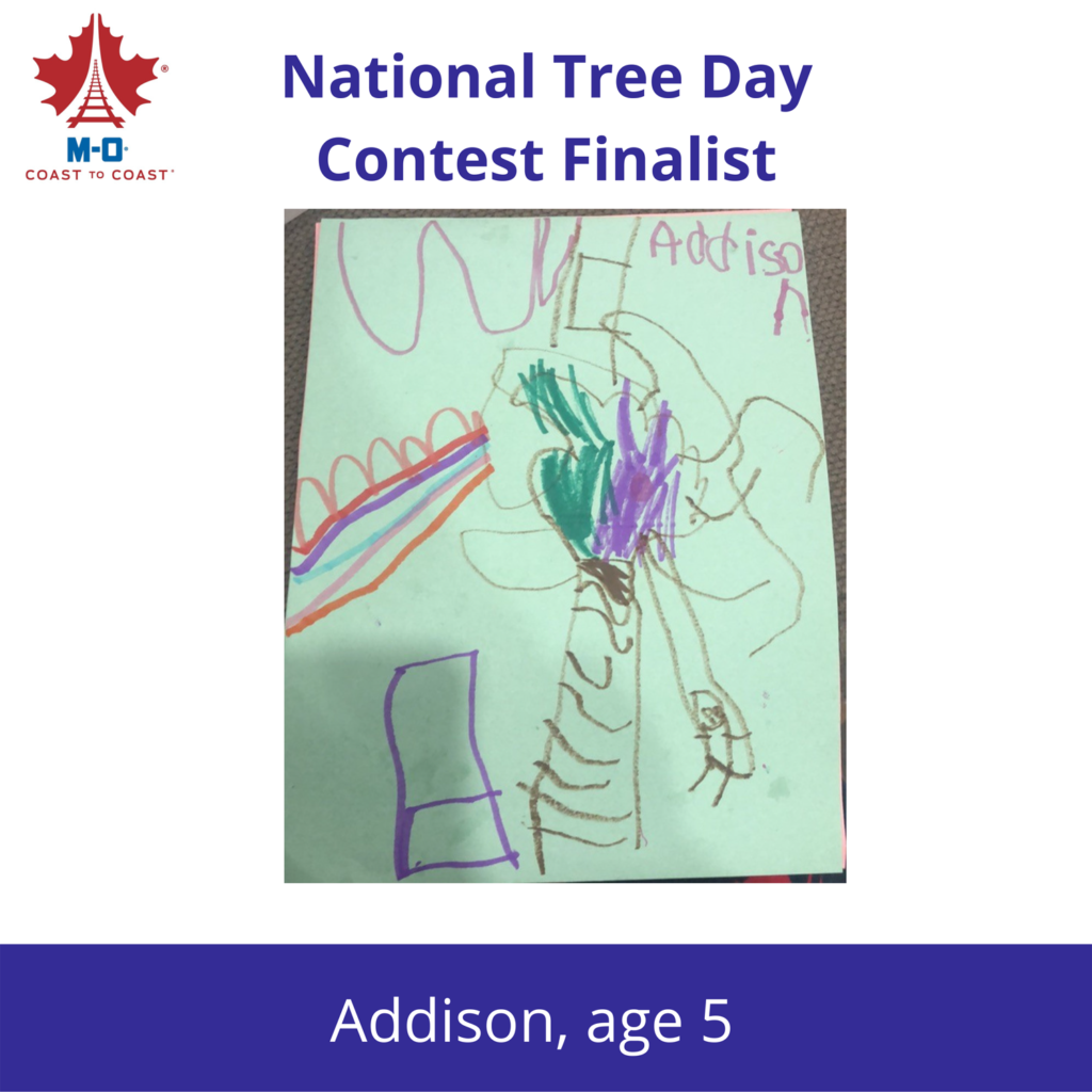 National-Tree-Days-Contest-Finalist-4
