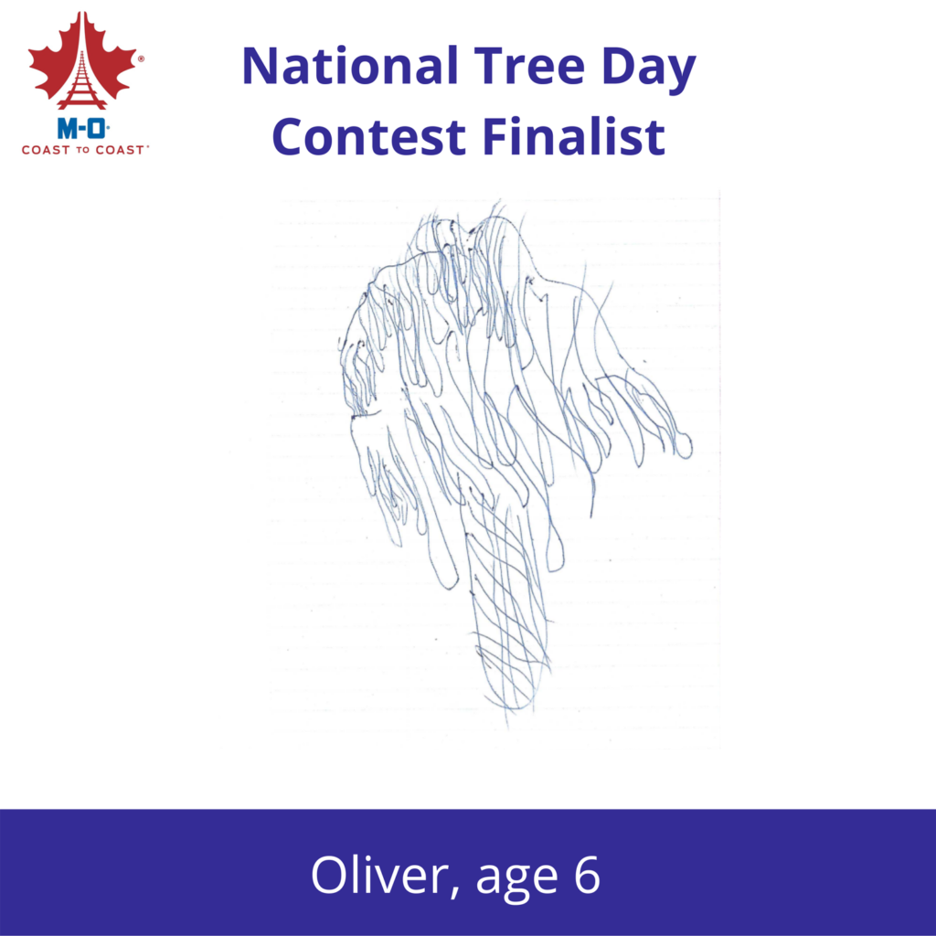 National-Tree-Days-Contest-Finalist-5