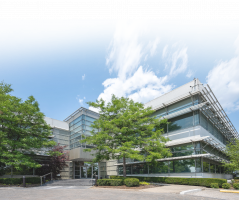Head-Office